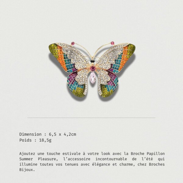 Broche Papillon Summer Pleasure bijou papillon élégant et coloré