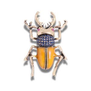 Broche Scarabée Préhistorique fond blanc