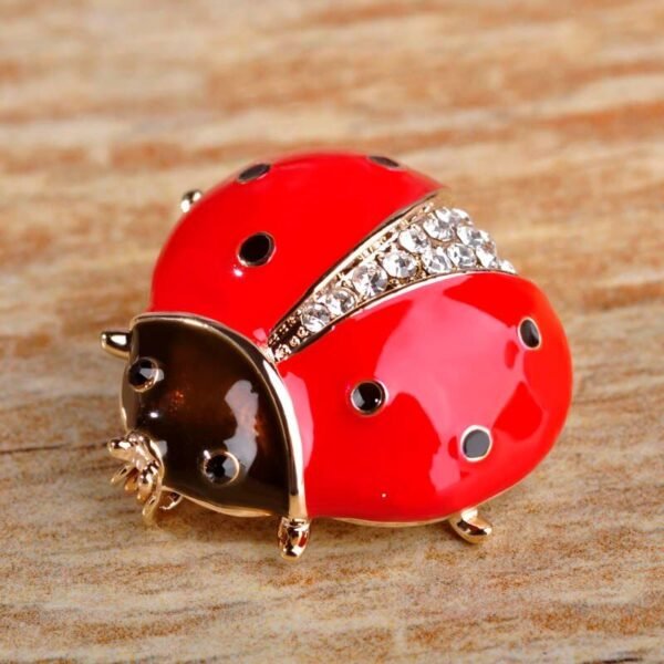 bijou broche coccinelle colorée