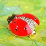 broche insecte coccinelle