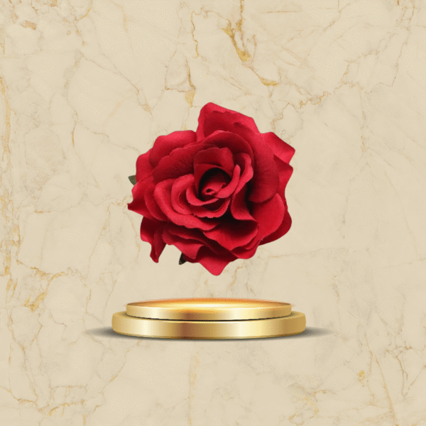 Broche rose rouge élégante en tissu