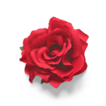 Broche Cheveux Fleur