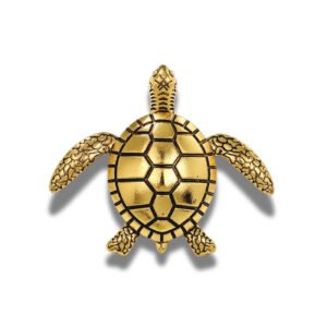 Broche Tortue Shield Wall fond blanc
