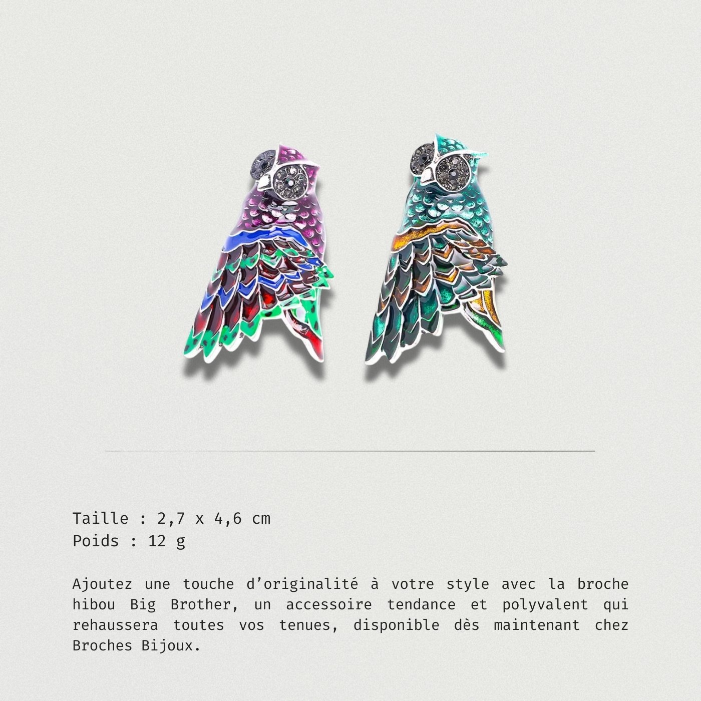 Broche Hibou Big Brother description