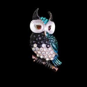 accessoire hibou big eyes