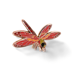 Broche Dessin De Libellule