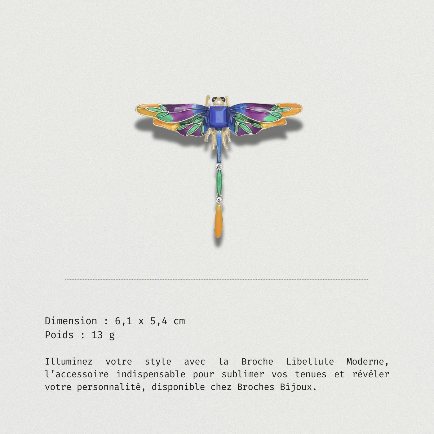 Broche Libellule Moderne Et Nouveau - Élégance à porter au quotidien