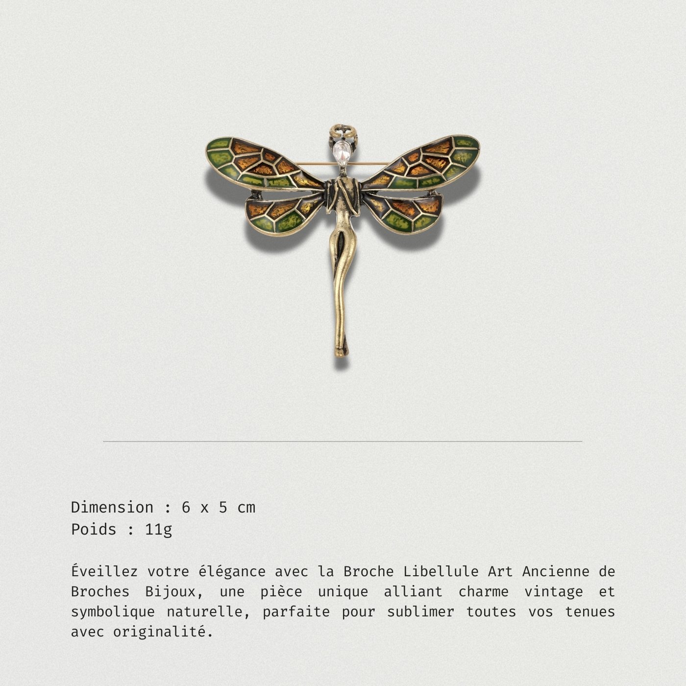 Broche Libellule Art Ancienne affichant des motifs raffinés