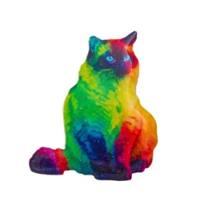 Broche Chat Multicolore en métal avec design coloré