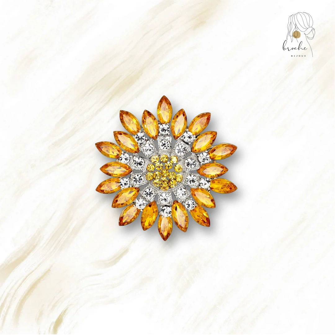 Broche Ancienne Charme Indien