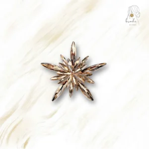 Broche Ancienne Descendance