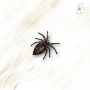Broche Araignée Quartz Chocolat