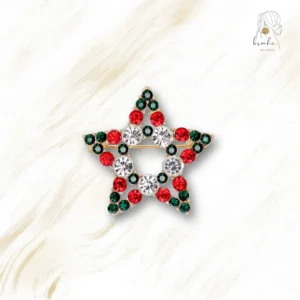 Broche Étoile De Noël