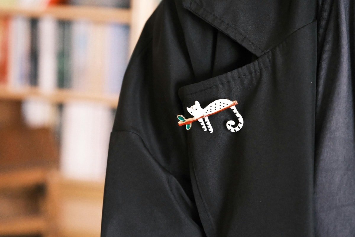 Image illustrant broche chat